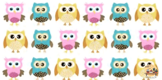 Verre 16 oz Hibou