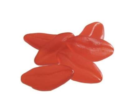 En vrac - Allan - Lèvre à la cannelle