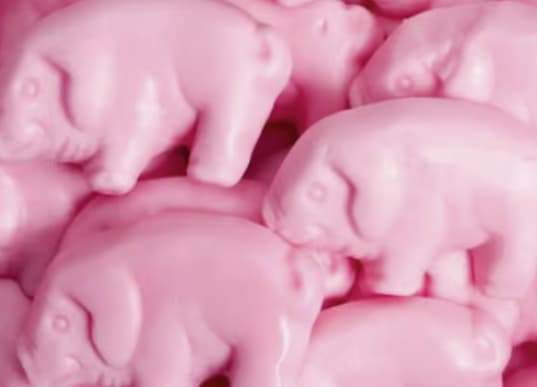 En vrac - Gustaf - Gros cochons roses
