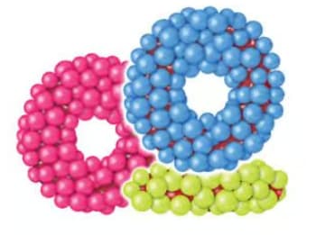 En vrac - Hilco Cosmic Candy-Coated Sour Anneau