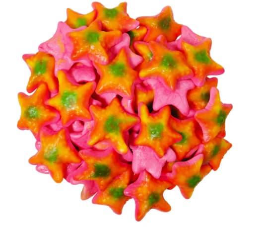 En vrac-Étoile de mer spongieuse