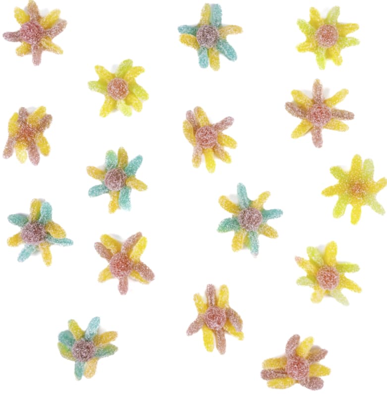 En vrac - Aliment SG - Pieuvre surette