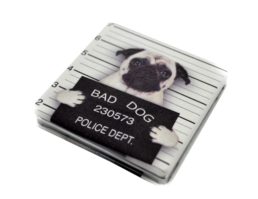 Miroir de poche Bad Dog