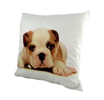 Coussin Chien Bulldog