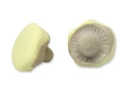 **ARRIVAGE FIN JUIN** Banana Caramel Mushroom
