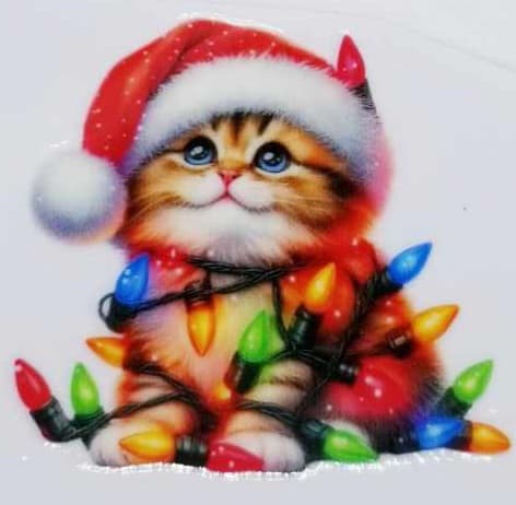 Verre à vin Chat et lumières 5 Noël