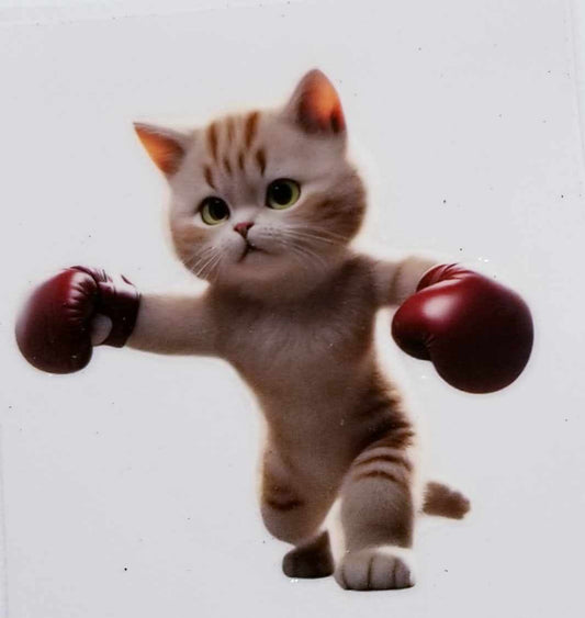 Verre à vin Chat à la boxe 3